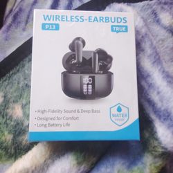 P13 Wireless Earbuds
