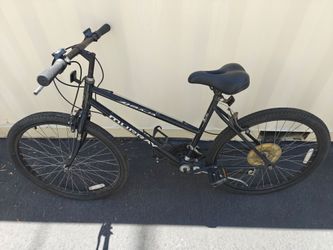 Vintage Murray Bike