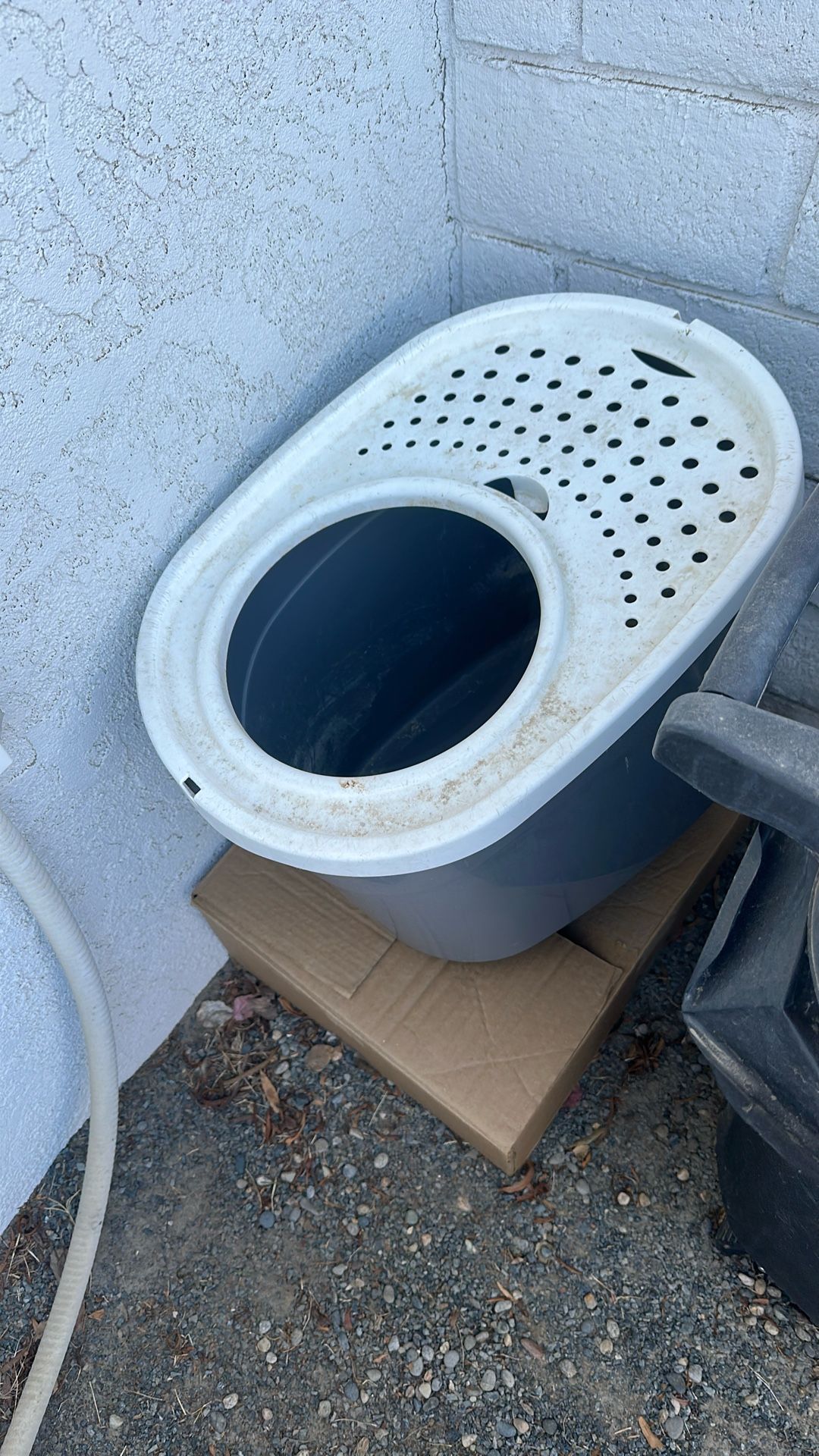 Cat Box