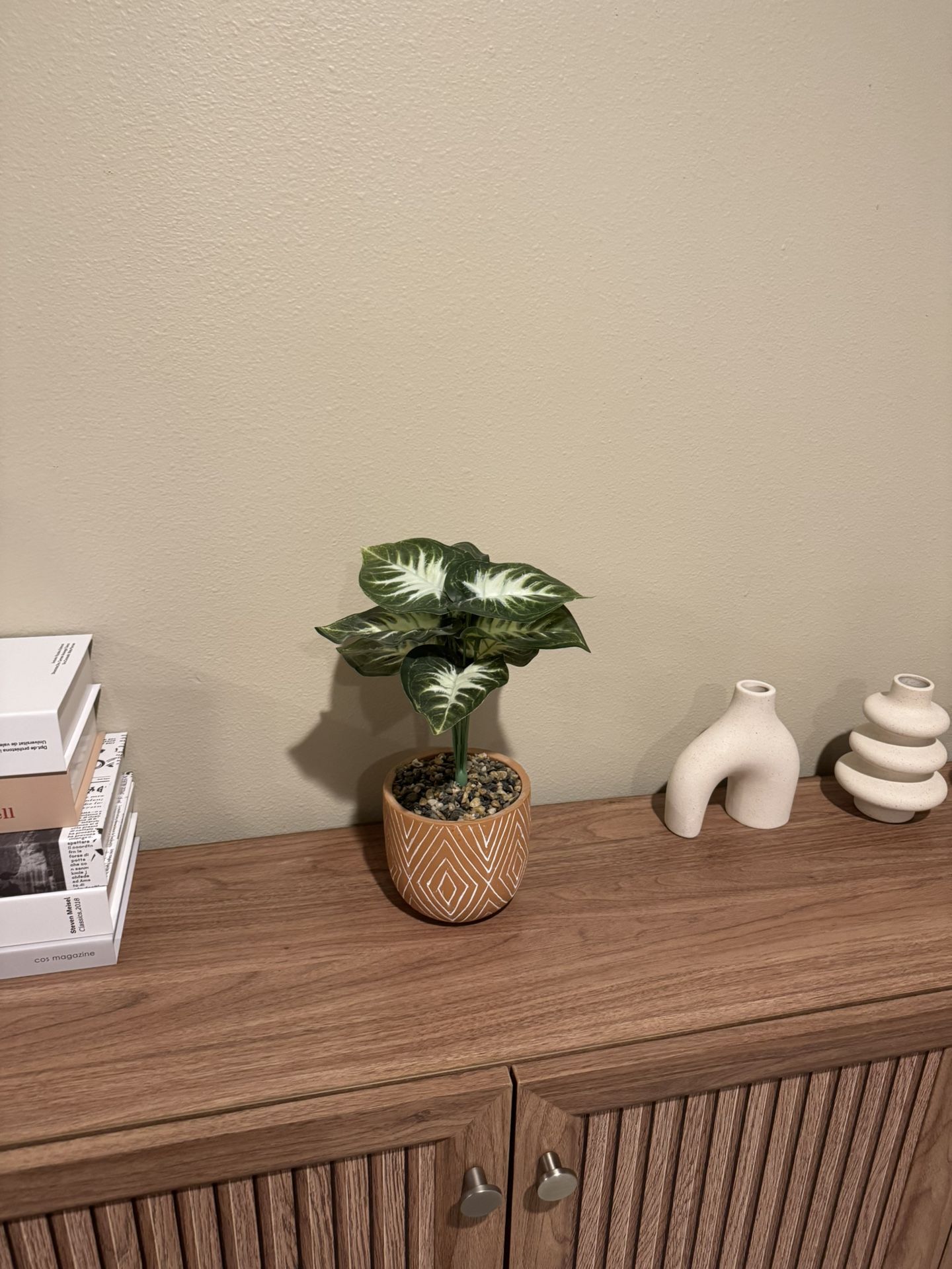 Fake Plant with Ceramic Pot â $15