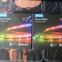 Govee LED Lights 