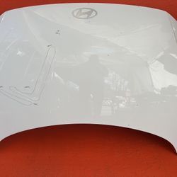 2022 2023 2024 2025 2026 HYUNDAI IONIQ 5 HOOD BONNET SHELL PANEL OEM