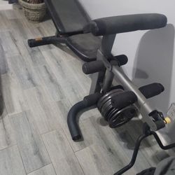 Golds Gym Weight Bench