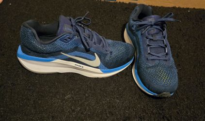 *NIKE Winflo 11*