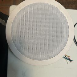 Speaker