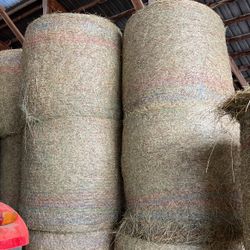 Round Bales. $65