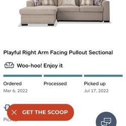 Small Sectional/sleeper