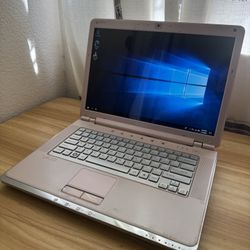 Vintage Pink Sony VAIO Laptop 