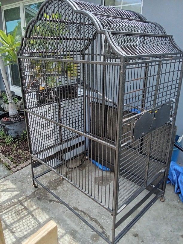 Bird Cage