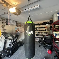 Boxing Bag And Ceiling Mount