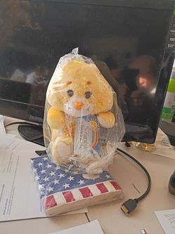 Funshine Bear