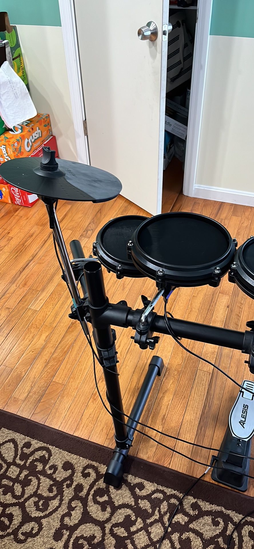 Alesis Electric Drum Set