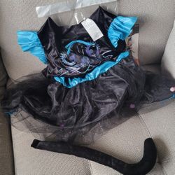 Cat Costume 