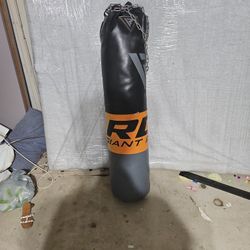 Boxing/Punching bag 