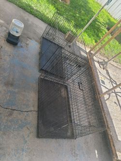 Dog kennels 2x$50