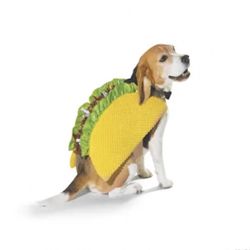 Dog Halloween Costume