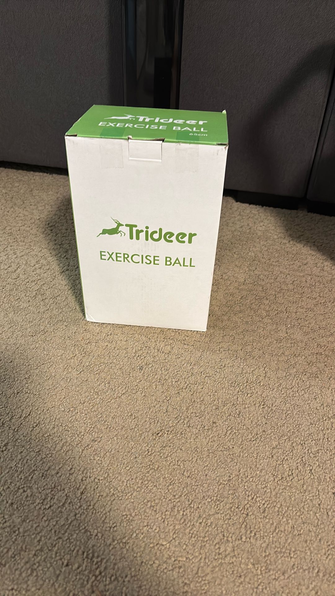 Trident Exercise Ball