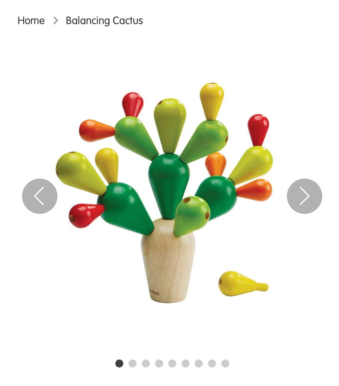 plantoys cactus