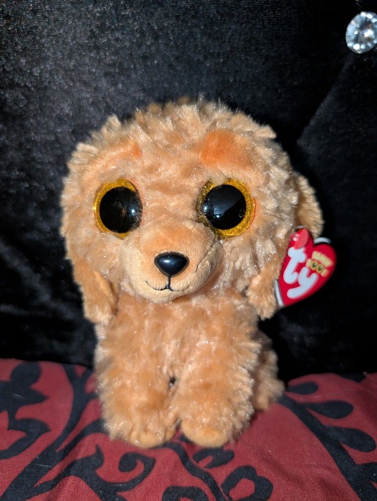 TY Beanie Boos "Noodles"