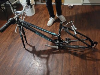 Schwinn bike frame FREE