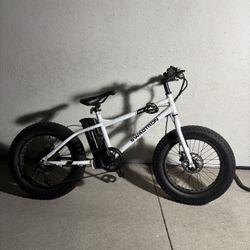 Swagatron (not firm on price)