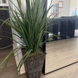 Fake Plant