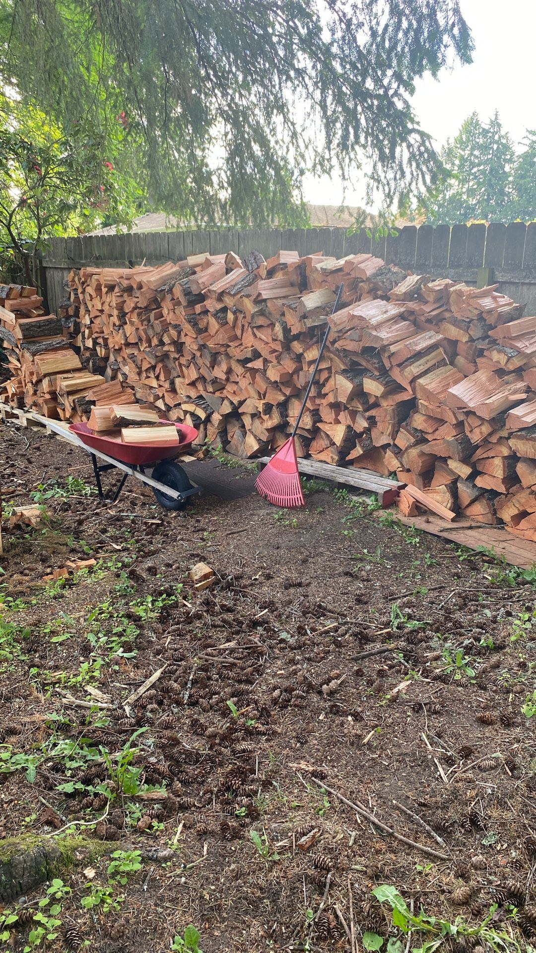 Firewood
