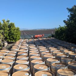 Full And Half Wine Barrels For Sale