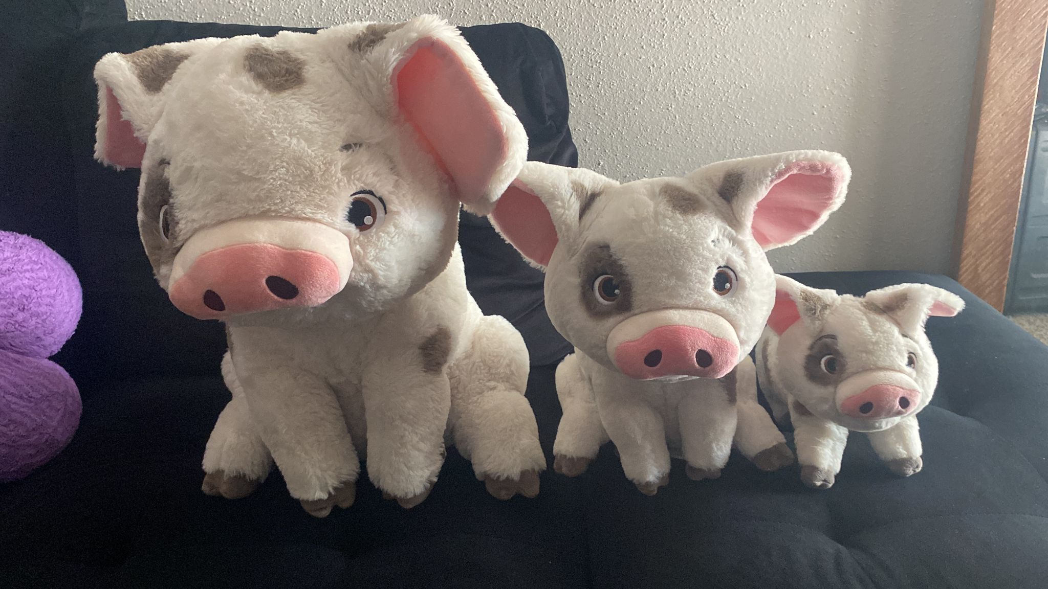 Moana Pig. (PUA)