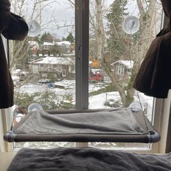 Cat Window Hammock