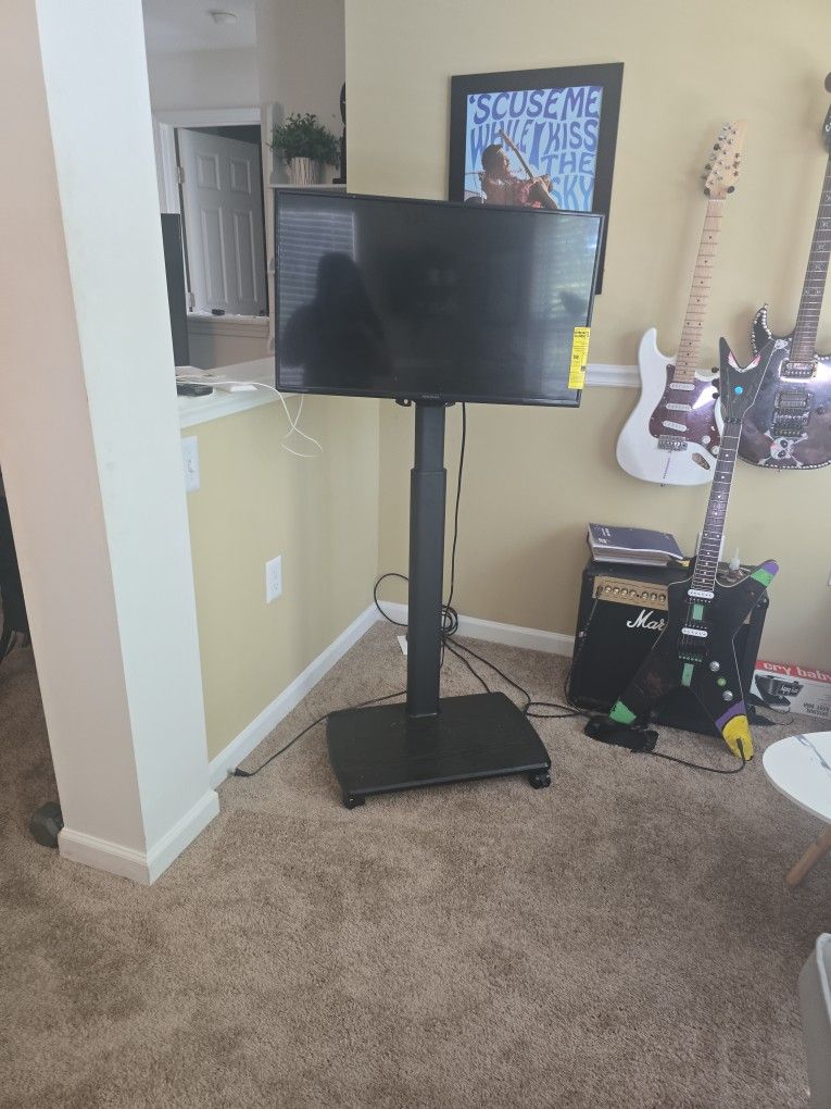 portable tv stand w tv