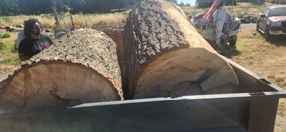 Firewood