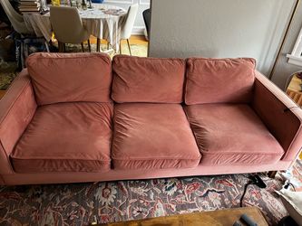 Pink Velvet couch
