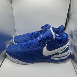 Nike Zoom LeBron NXXT Gen TB “Game Royal” size 18 