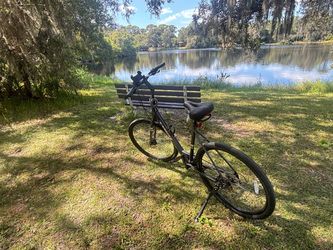 Trek Verve 2 Lowstep Large frame Hybrid Bike – Black – Great for Everyday Riding