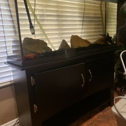 Fish Tank With Stand and filter