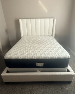 Queen Mattress Only
