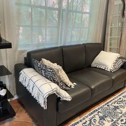 Grey Pullout Couch