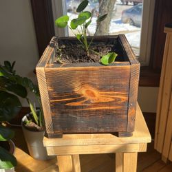Handmade Wooden Plant Decoration