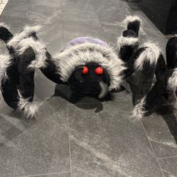 Halloween Deco-Black Spider