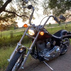 Harley Davidson Softail 