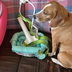 Baby Bouncer
