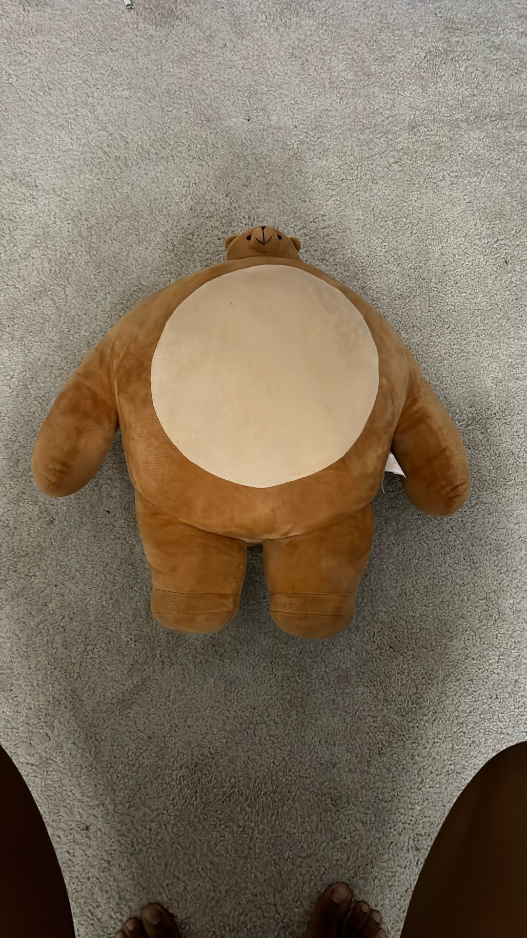 Teddy Bear