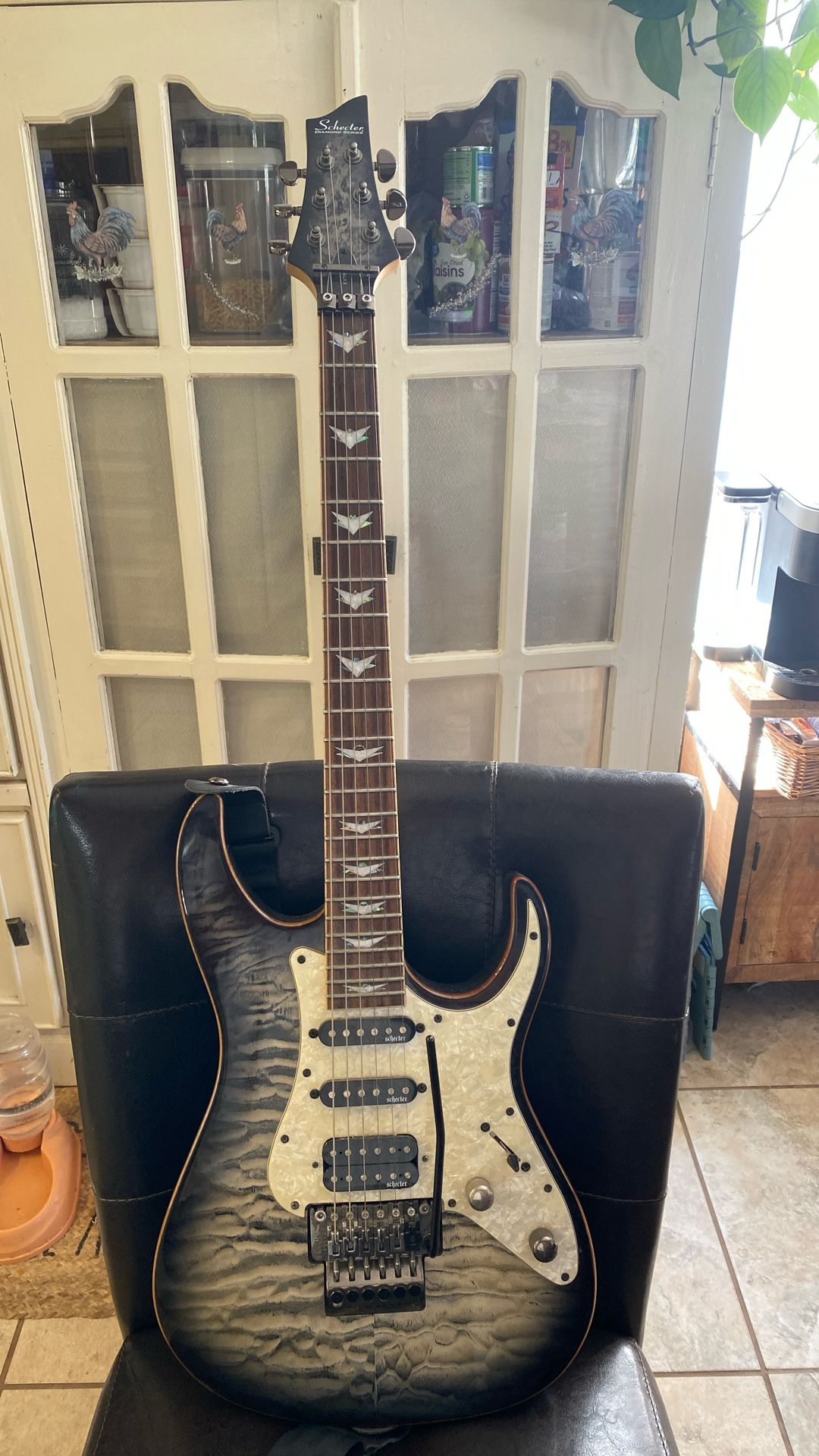 Schecter guitar