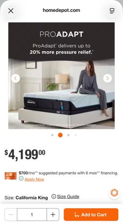 TEMPUR-PEDIC California King Mattress + Bed Frame — $1,800 OBO