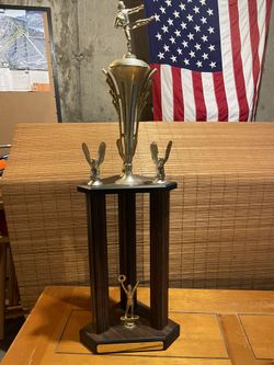 1st Place Karate Trophy