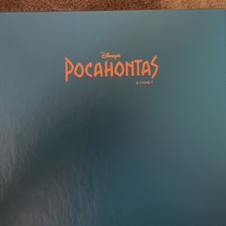 Disney Pocahontas Collectible  Thumbnail