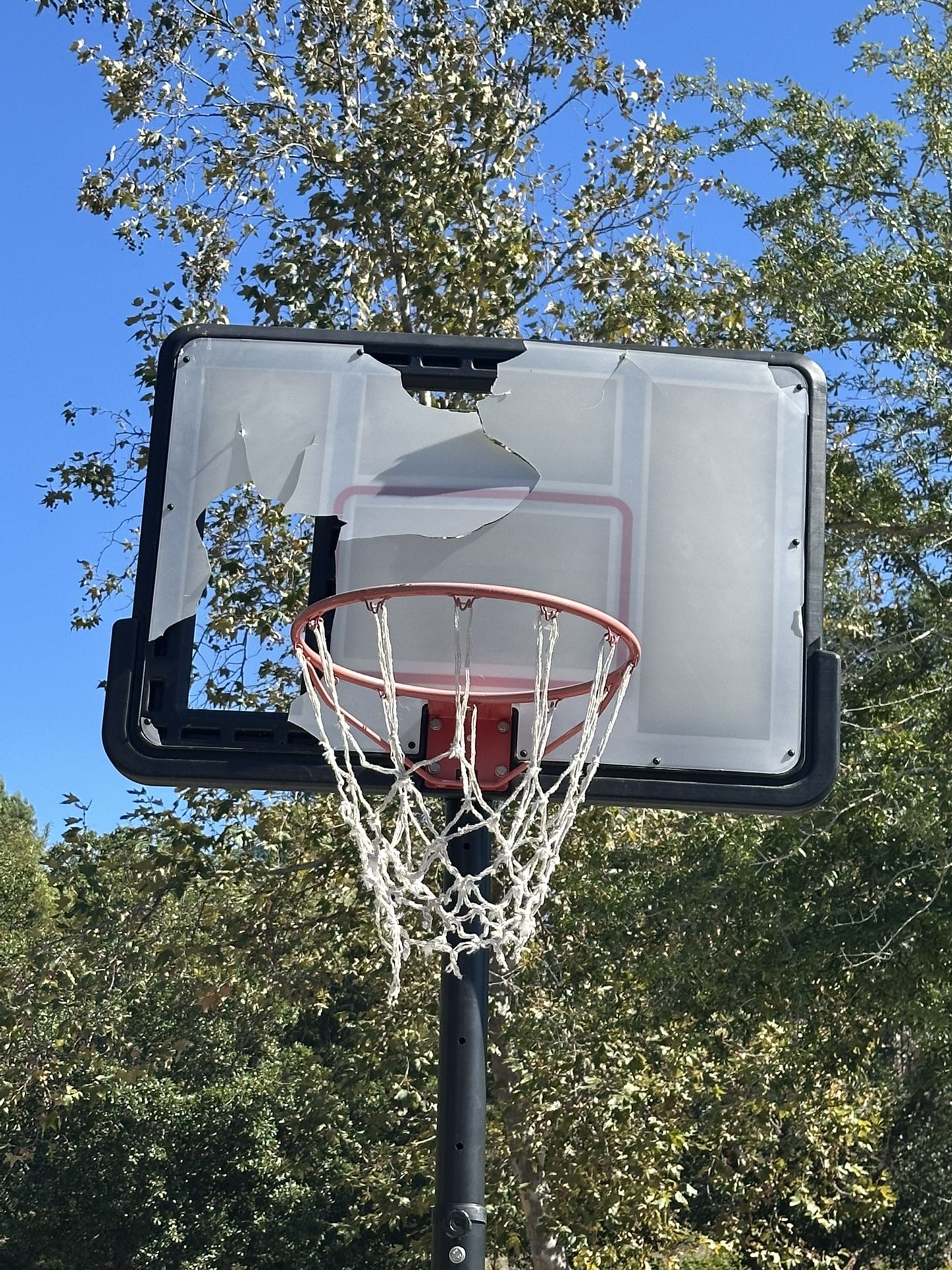 Potable Basketball Hoop