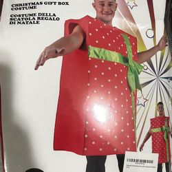 Gift Box Costume 