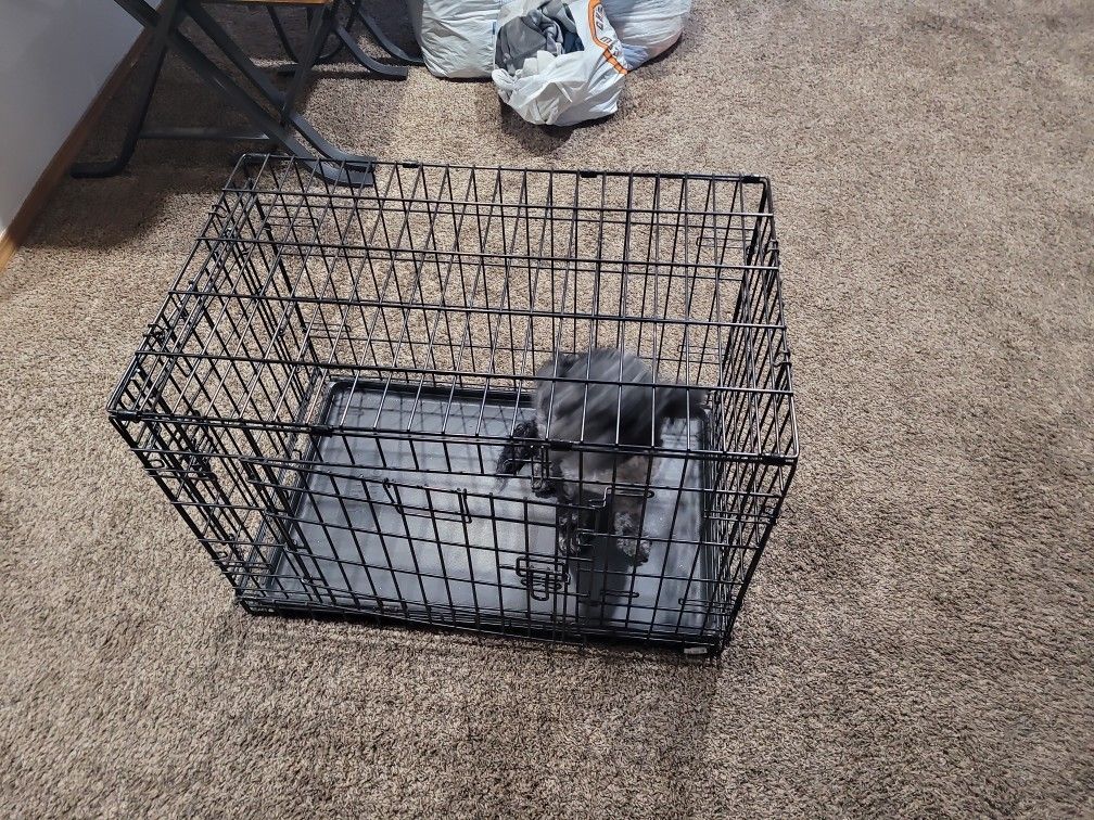 Dog Crate